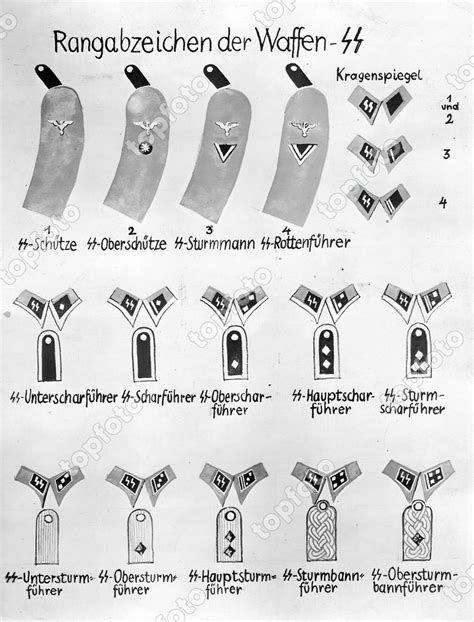 schutzstaffel insignia|More.